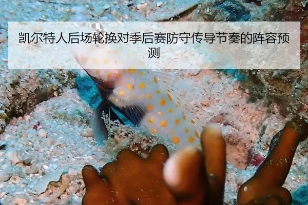 凯尔特人后场轮换对季后赛防守传导节奏的阵容预测